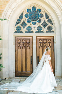 Pronovias 'Tasiala' size 2 used wedding dress back view on bride