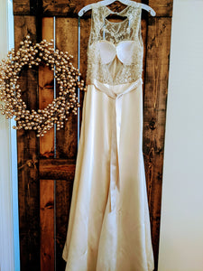 Tara Keely '2455' size 8 used wedding dress back view on hanger
