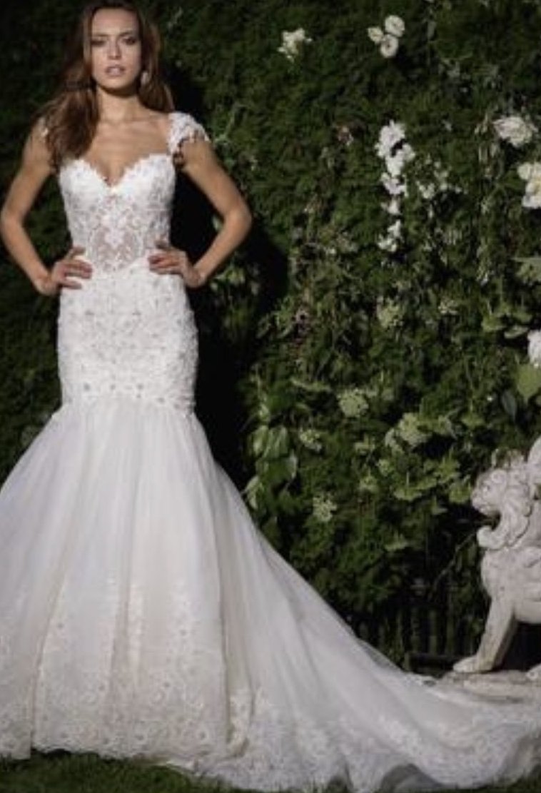 Eve of Milady 'Amalia Carrara' size 12 used wedding dress front view on model