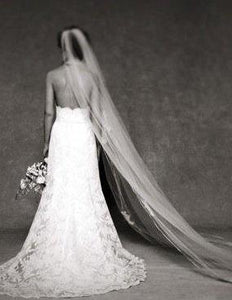 Watters 'Adriana' size 4 used wedding dress back view on bride