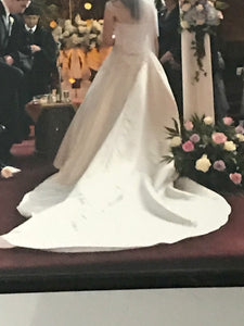 Demetrios '9610' size 6 used wedding dress back view on bride