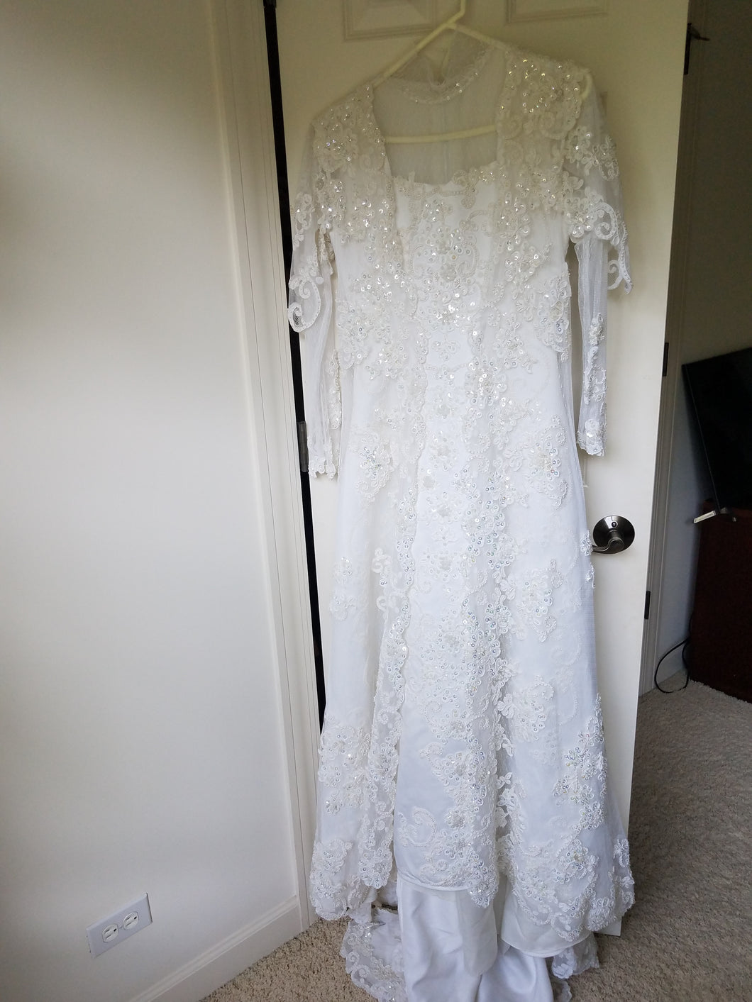 Miss Philippines 'Padme Queen Amidala' size 2 used wedding dress front view on hanger