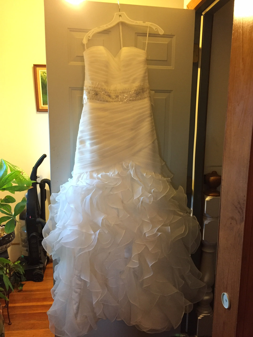 Pronovias 'Garza Paris' size 8 sample wedding dress front view on hanger