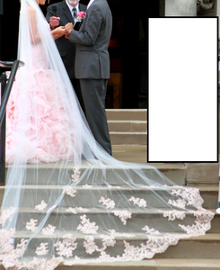 Vera Wang 'Blush' wedding dress size-00 PREOWNED