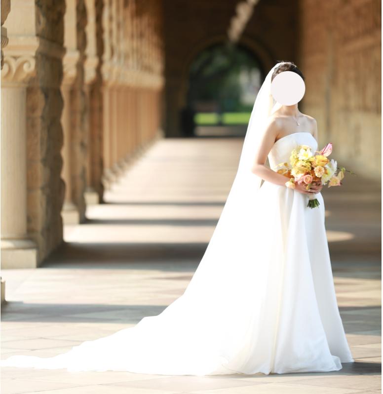 Elisabetta Polignano 'Schmitt' wedding dress size-06 PREOWNED