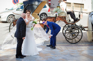 Pronovias 'ORVILLE' wedding dress size-10 PREOWNED