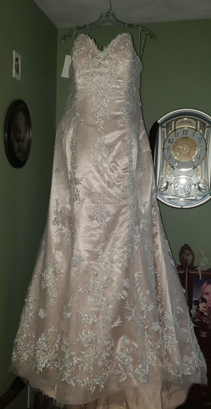 Maggie Sottero 'HOLLY 5MC082' wedding dress size-18 NEW