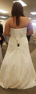 David's Bridal 'Lace' size 14 new wedding dress back view on bride