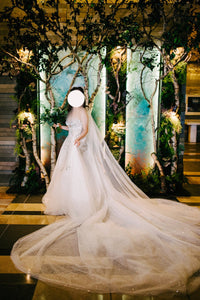 Galia lahav 'Aelin/NB-37' wedding dress size-04 PREOWNED