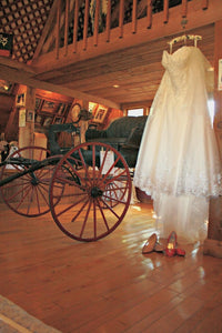 David's Bridal '9V3836VINTAGER' wedding dress size-20 PREOWNED