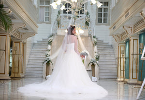 Vera Wang '121616 - Fernanda' wedding dress size-10 PREOWNED