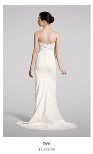 Louvienne 'Tavi' size 2 used wedding dress back view on model