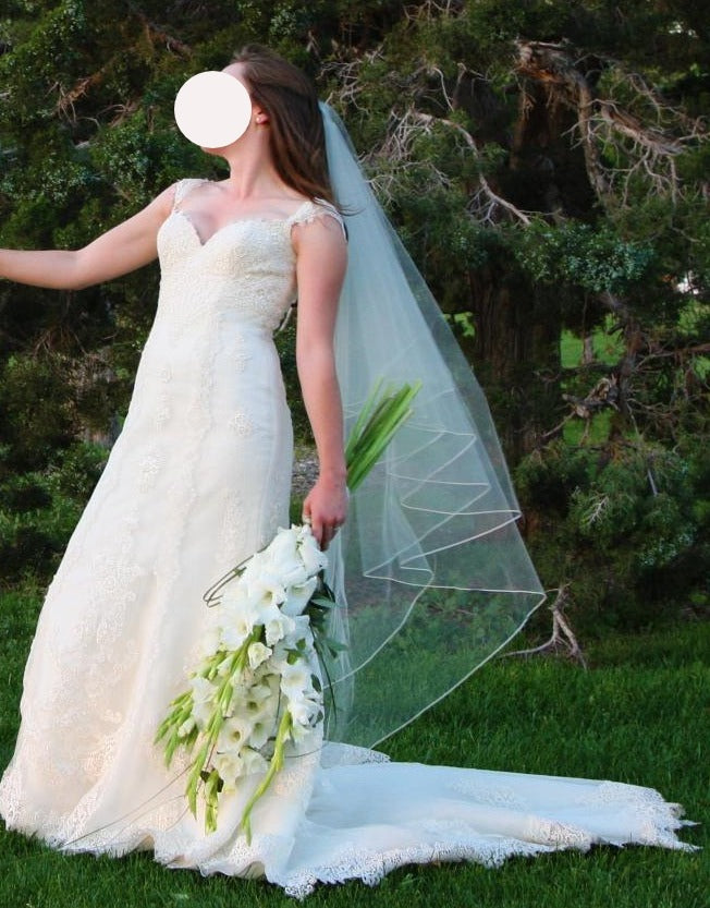 Pronovias 'Adela' wedding dress size-02 PREOWNED