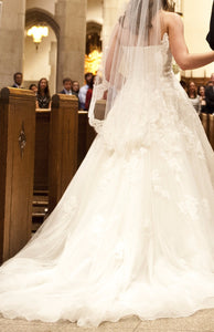Pronovias 'Alcanar' size 2 used wedding dress back view on bride
