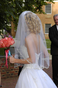 Demetrios '984' size 2 used wedding dress back view on bride