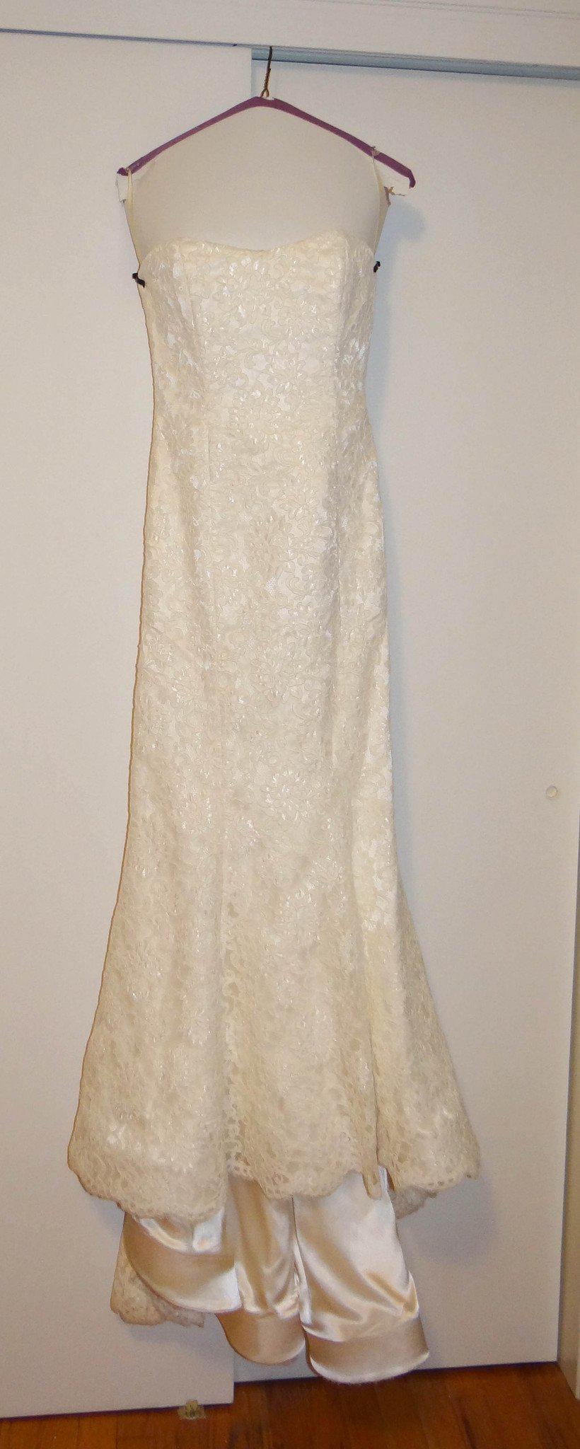 Michelle Roth Mermaid Alencon Lace Wedding Dress - Michelle Roth - Nearly Newlywed Bridal Boutique - 1