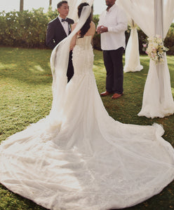 Berta '17-110' size 4 used wedding dress back view on bride