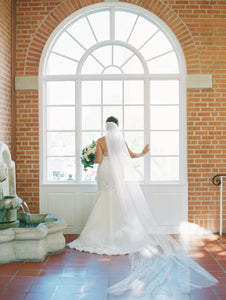 Ines Di Santo 'Elisavet' size 6 used wedding dress back view on bride
