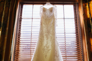 Pronovias 'Tibet' size 12 used wedding dress front view on hanger