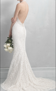 Madison James '18' size 8 used wedding dress back view on model
