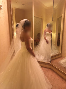Zac Posen 'Beaded Dress' size 8 used wedding dress back view on bride