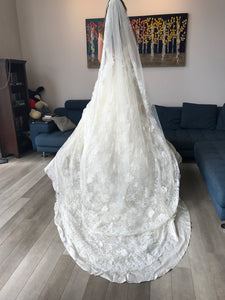 Atelier Aimee 'Alta Moda Saposa' size 0 new wedding dress back view on bride