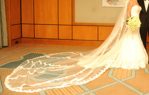 Pronovias A-line Lace Wedding Dress - Pronovias - Nearly Newlywed Bridal Boutique - 9