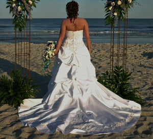 David's Bridal 'WG3239' size 14 used wedding dress back view on bride