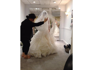 Rivini 'Waverly' size 8 used wedding dress back view on bride