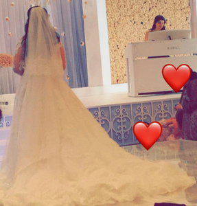 La Sposa 'Petula' size 12 used wedding dress back view on bride
