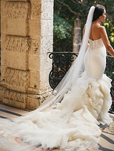 Lazaro '3610' size 4 used wedding dress back view on bride