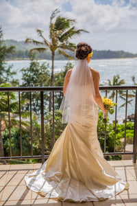Pronovias 'Tigris' size 4 used wedding dress back view on bride