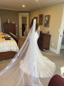 Pronovias 'Della' wedding dress size-10 NEW