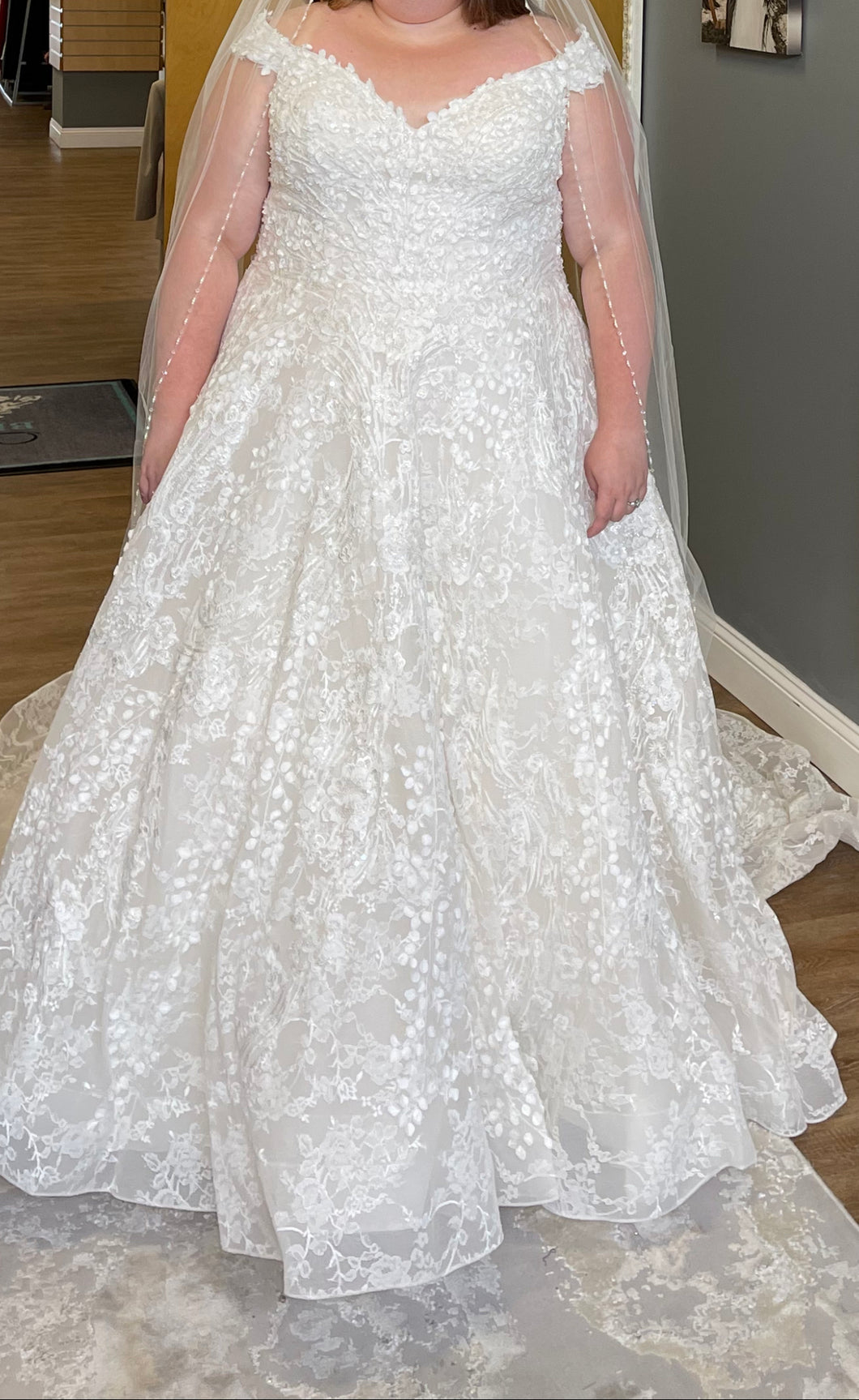 Allure Bridals 'C520' wedding dress size-24 NEW