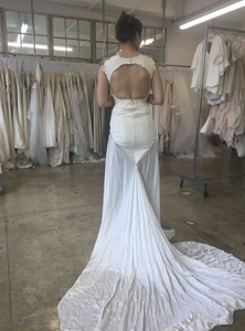 Carol Hannah 'Pemberley' size 4 sample wedding dress back view on bride