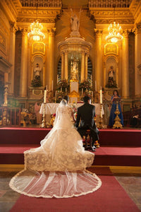 Enzoani 'Eva' size 6 used wedding dress back view on bride