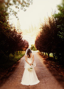 Paloma Blanca Lace Fit & Flare Wedding Dress - Paloma Blanca - Nearly Newlywed Bridal Boutique - 3