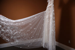 Anna Campbell 'Amelie' wedding dress size-06 NEW