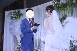 BHLDN 'Conrad Gown' wedding dress size-02 PREOWNED