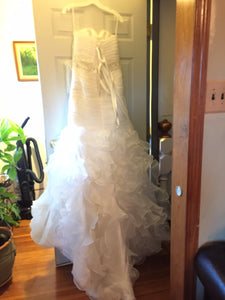 Pronovias 'Garza Paris' size 8 sample wedding dress back view on hanger