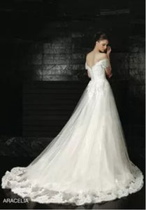 Intuzuri 'Aracelia' size 10 used wedding dress back view on model