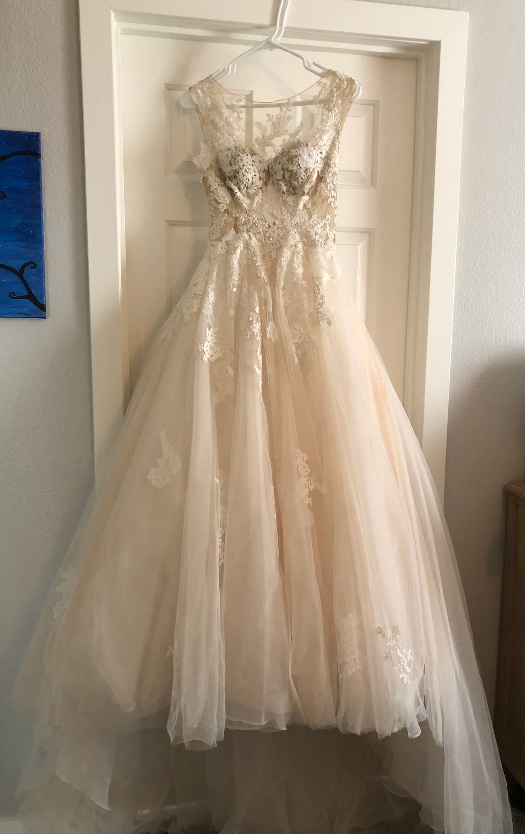 Pronovias 'Ofelia' size 6 used wedding dress front view on hanger