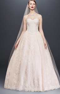 Oleg Cassini 'Strapless Petite' size 12 new wedding dress front view on model