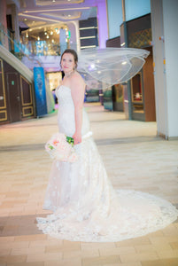 DANIELLE CAPRESE '113162' wedding dress size-16 PREOWNED