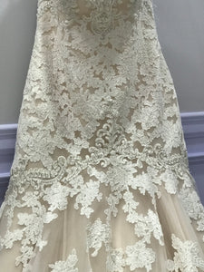 DANIELLE CAPRESE '113162xs' wedding dress size-12 PREOWNED