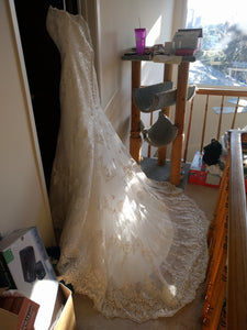 Allure Bridals '2712' size 6 used wedding dress back view on hanger