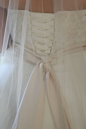 David's Bridal '9T9218' size 18 new wedding dress back view on bride