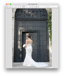 Inbal Dror 'BR-15-16' size 0 used wedding dress back view on bride