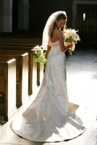 Rivini 'Etoile' size 2 used wedding dress back view on bride