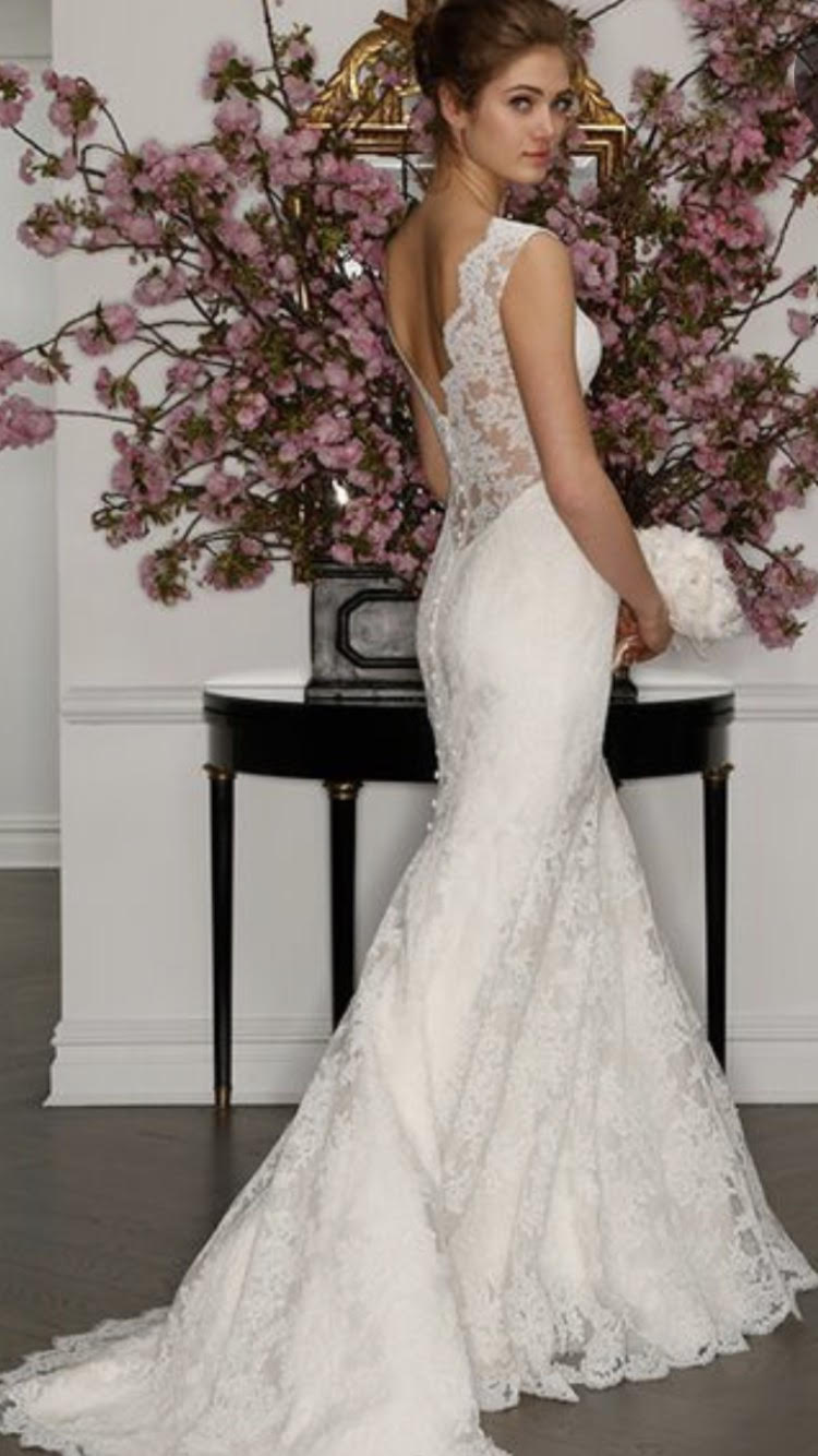 Romona Keveza 'Legends' size 4 used wedding dress back view on model